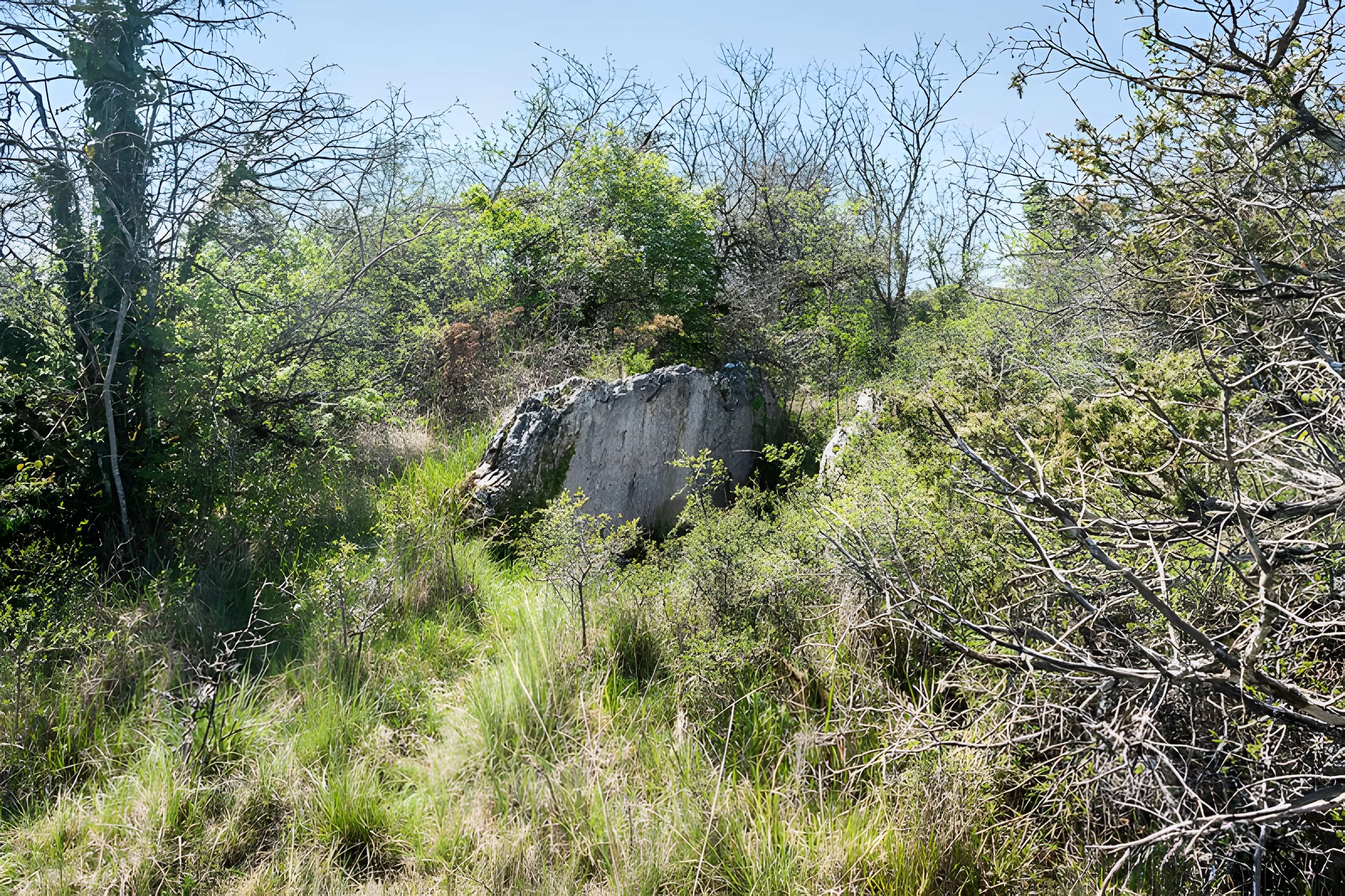 Site archéologique du dolmen de la Vitarelle III