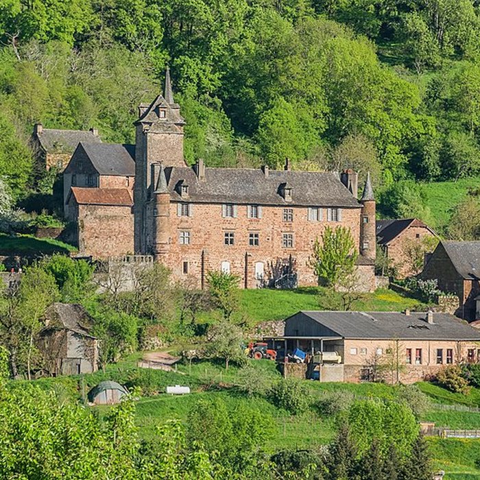 Photo de Château de Combret