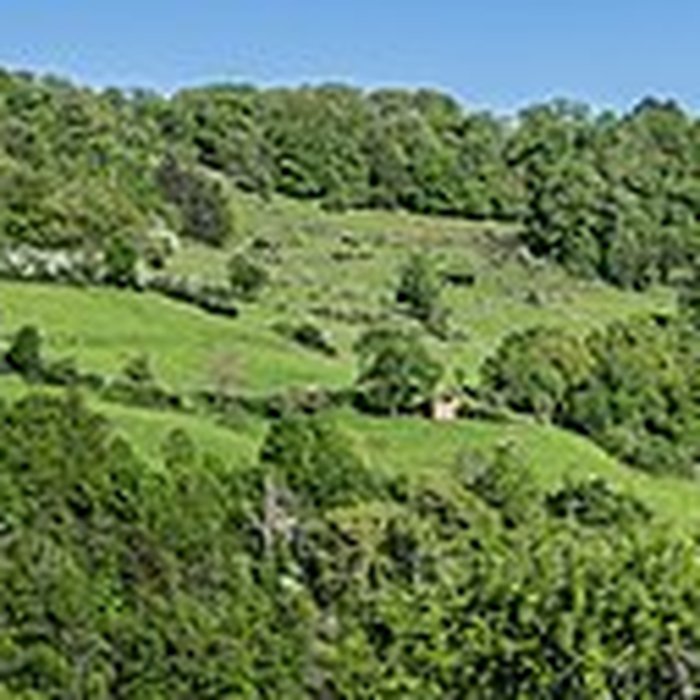 Photo de Château de Combret