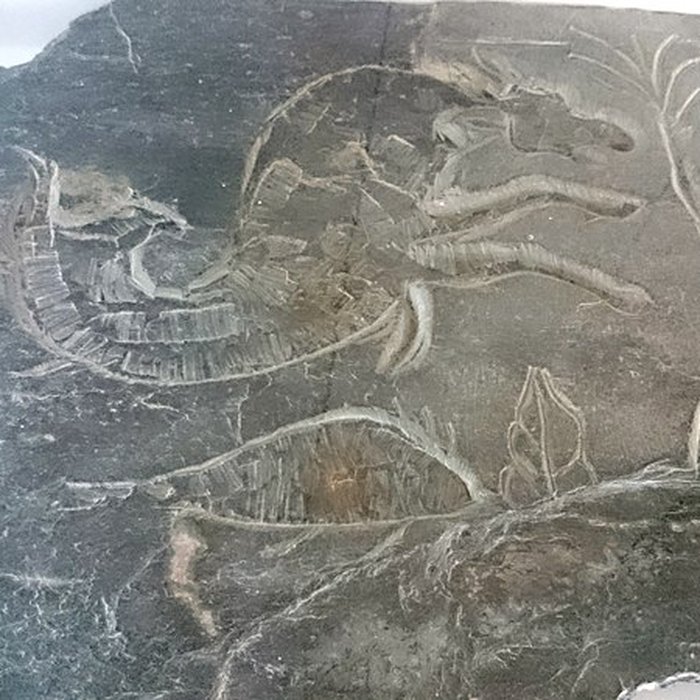 Photo de Château-Gaillard de Vannes