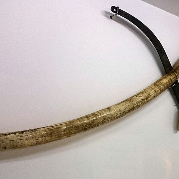 Photo de Château-Gaillard de Vannes