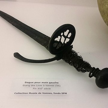 Château-Gaillard de Vannes