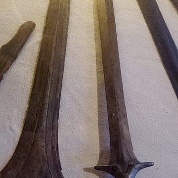 Château-Gaillard de Vannes