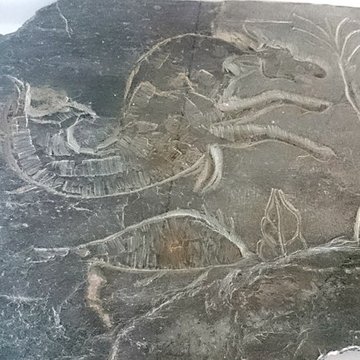 Château-Gaillard de Vannes