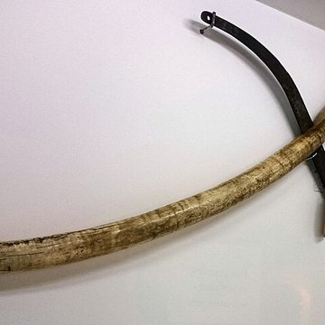 Château-Gaillard de Vannes