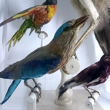 Château-Gaillard de Vannes