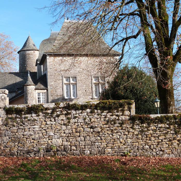 Photo de Château de Dalmayrac