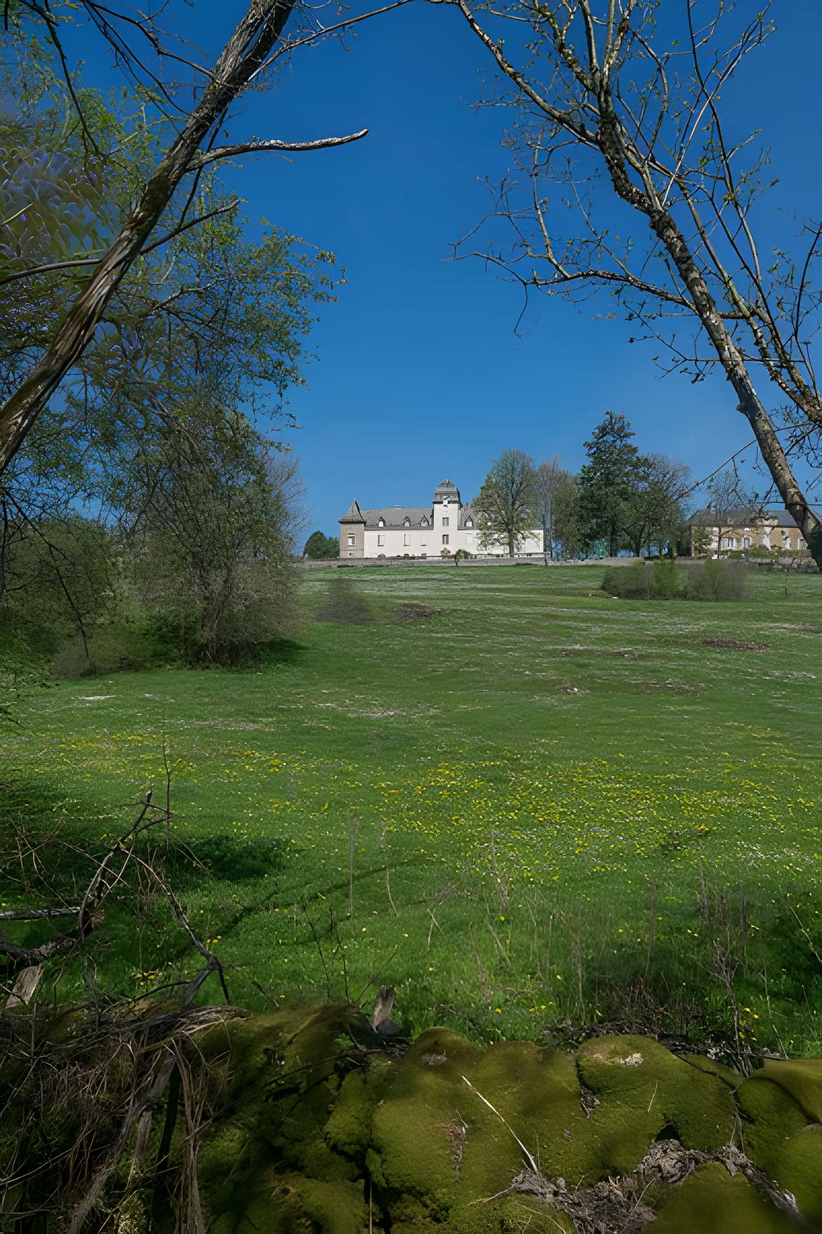 Château de Dalmayrac