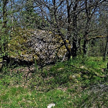 Site archéologique du dolmen du Roc de la Françoune
