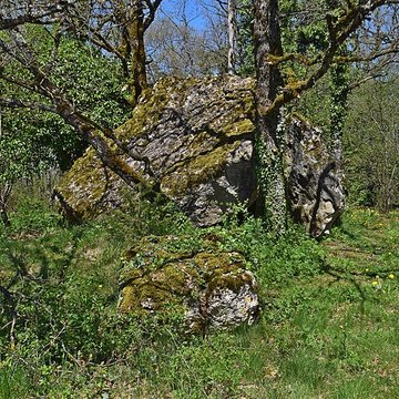 Site archéologique du dolmen du Roc de la Françoune