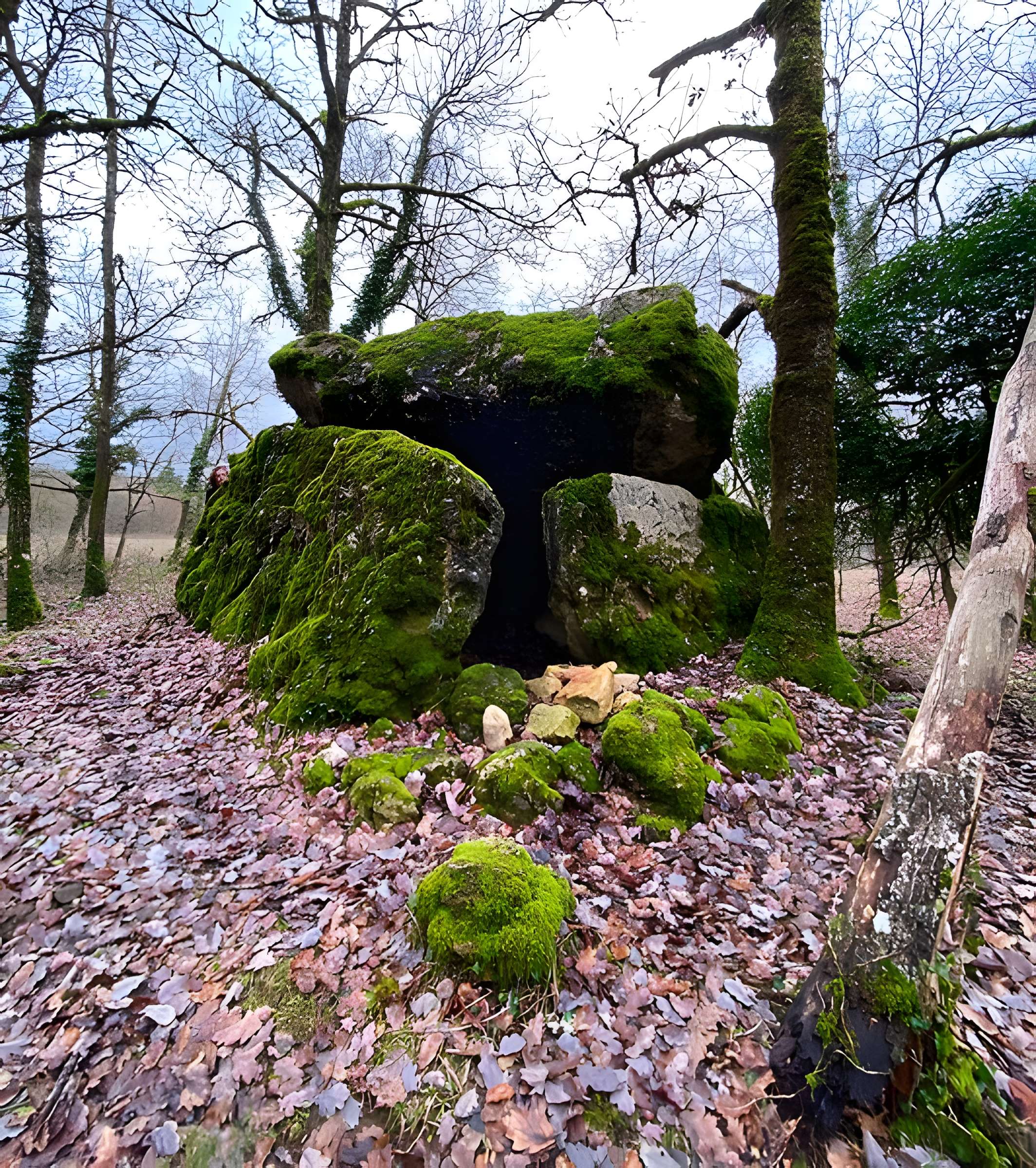 Site archéologique du dolmen du Roc de la Françoune