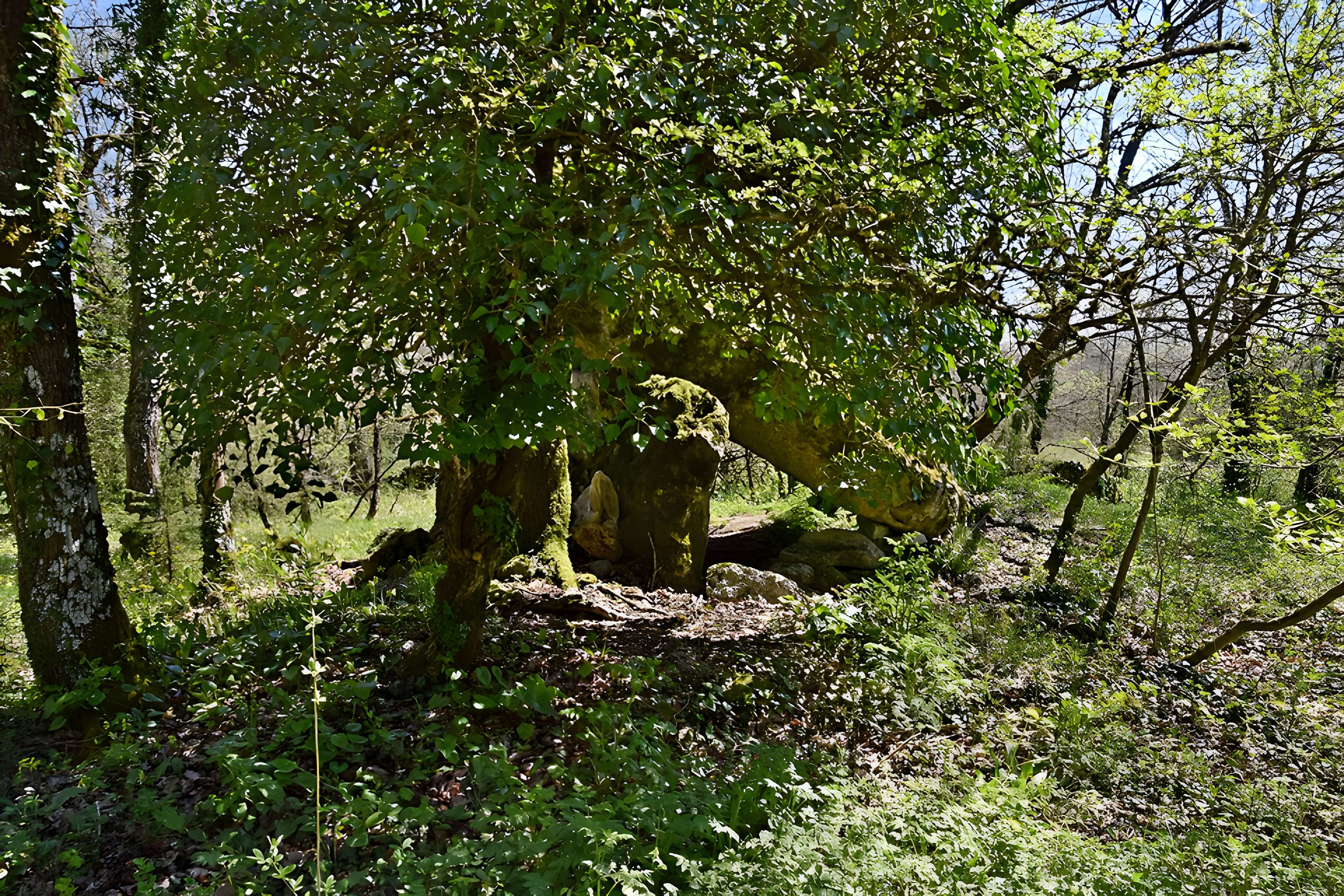 Site archéologique du dolmen du Roc de la Françoune