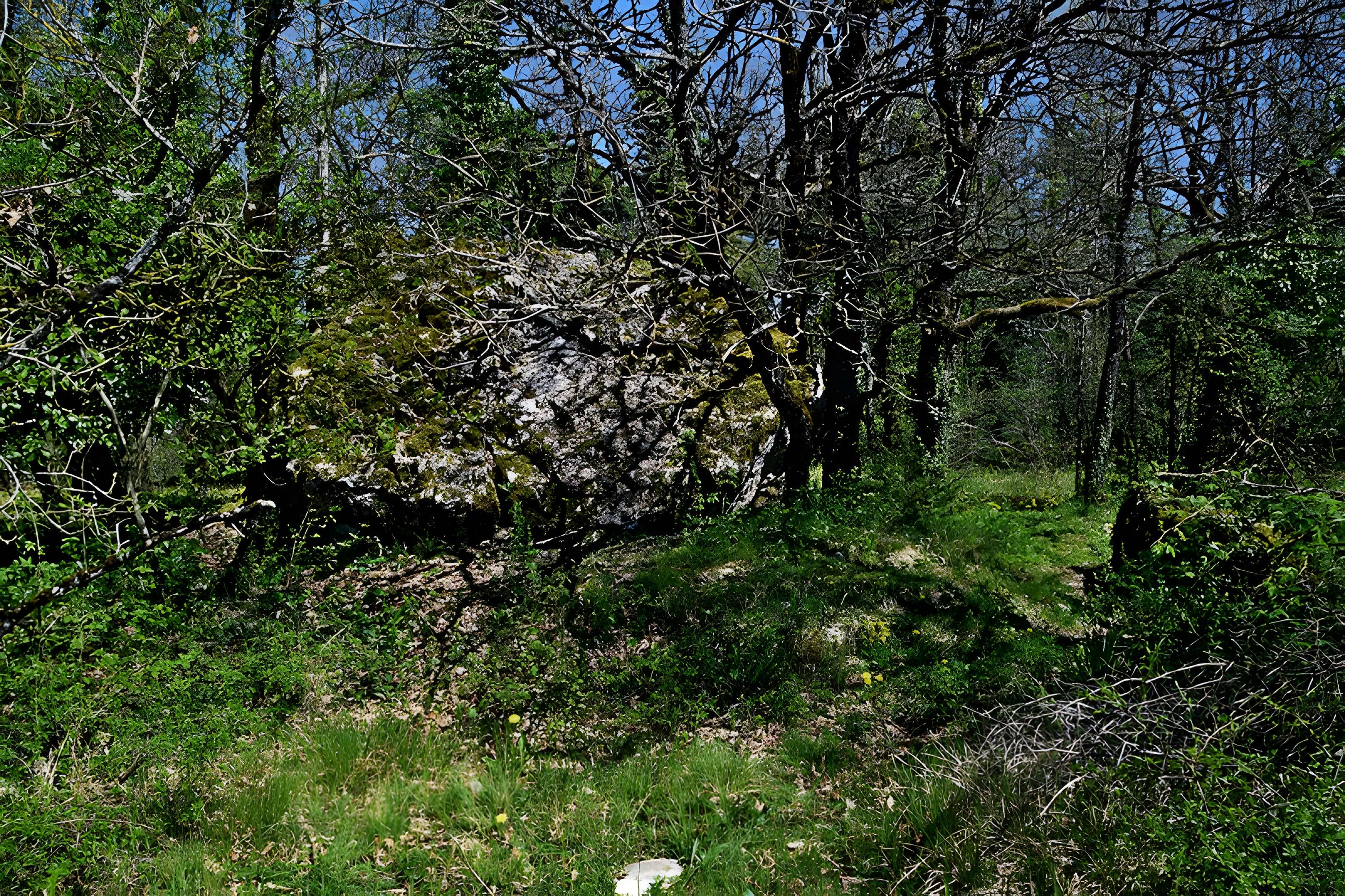 Site archéologique du dolmen du Roc de la Françoune