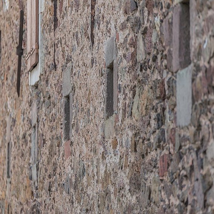 Photo de Ancienne chartreuse