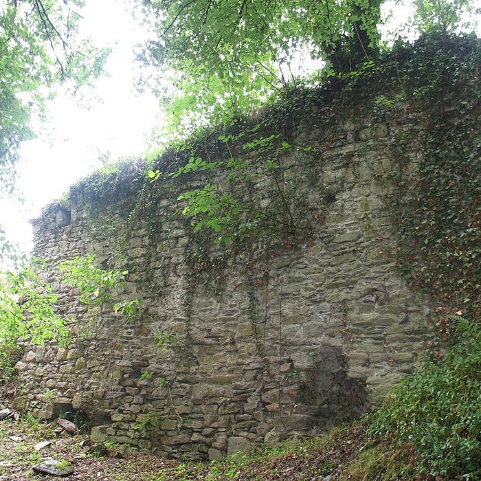 Photo de Château-Rocher de Saint-Rémy-de-Blot