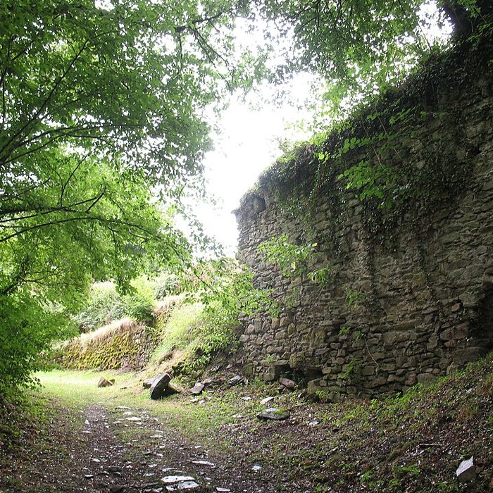 Photo de Château-Rocher de Saint-Rémy-de-Blot