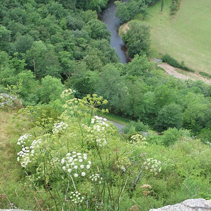 Photo de Château-Rocher de Saint-Rémy-de-Blot