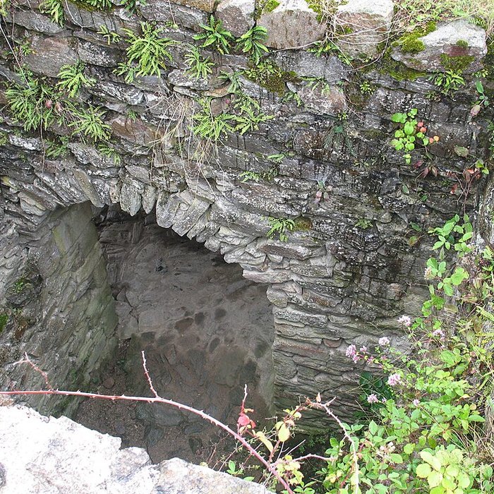 Photo de Château-Rocher de Saint-Rémy-de-Blot