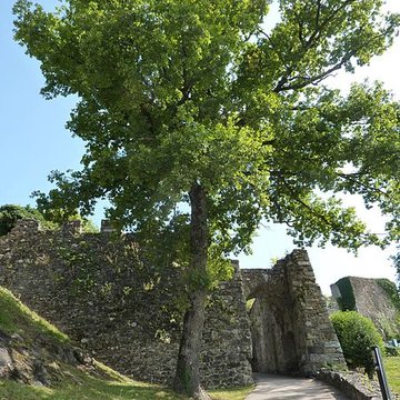 Château-Vieux dAllinges