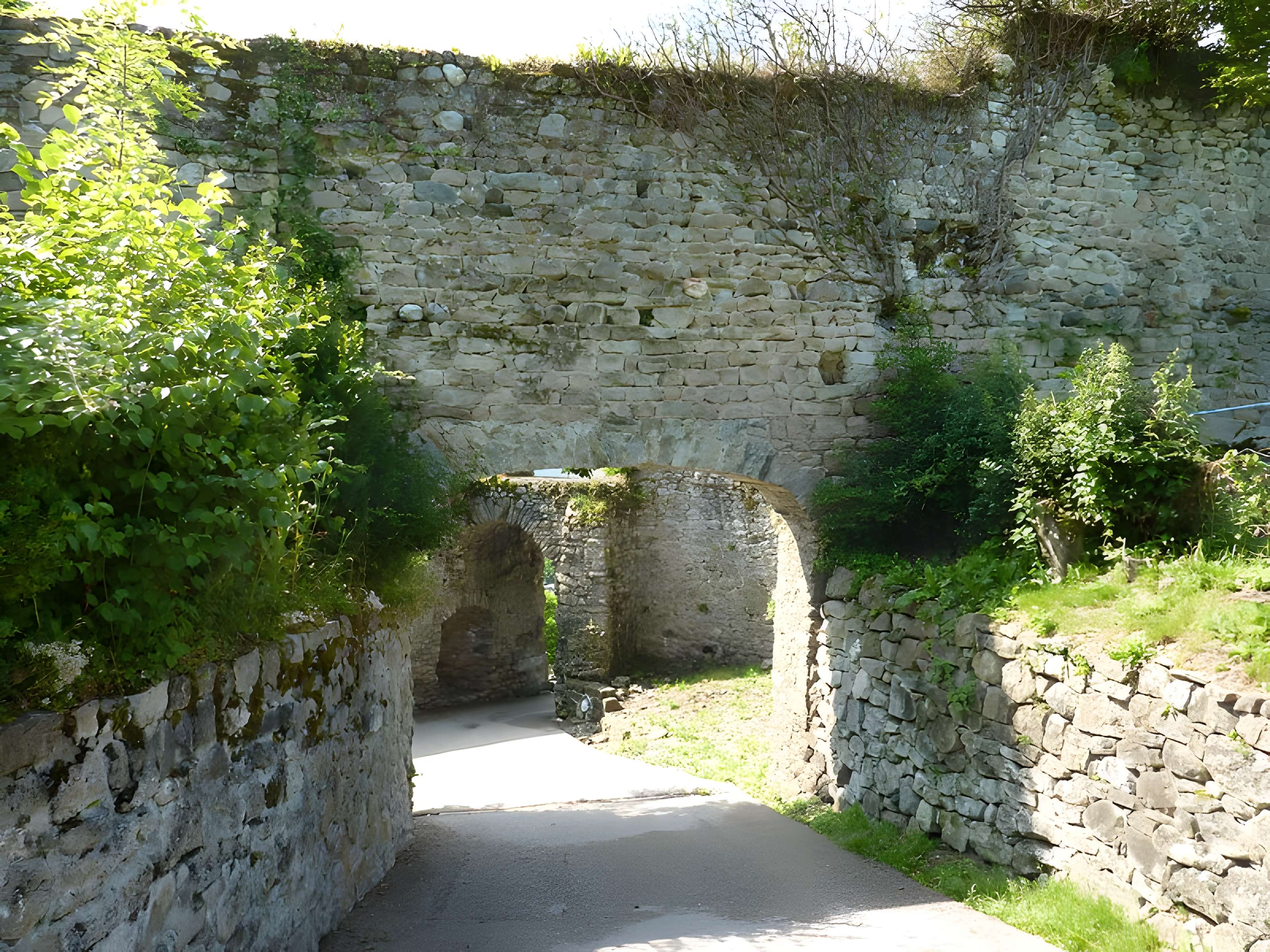 Château-Vieux d'Allinges