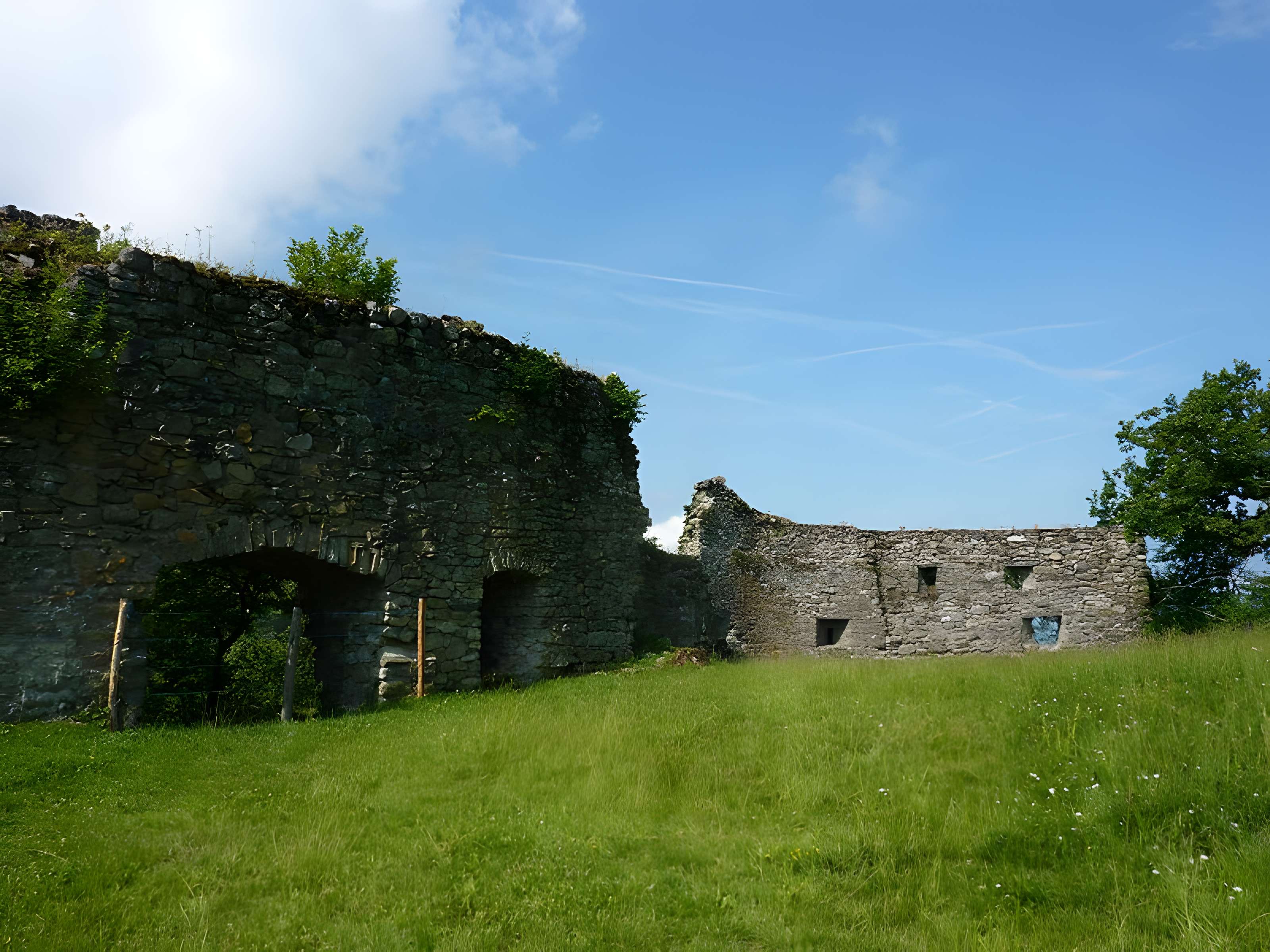 Château-Vieux d'Allinges