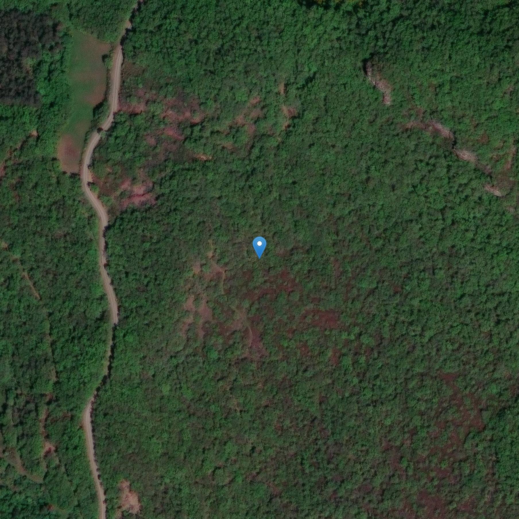 Photo de Pressoir en pierre de Savignac de type en écusson