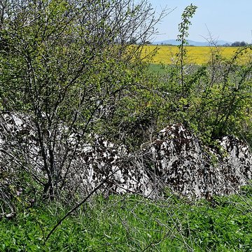 Dolmen de Saint-Antonin