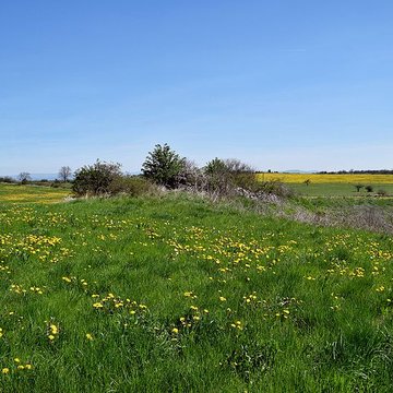 Dolmen de Saint-Antonin