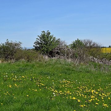 Dolmen de Saint-Antonin