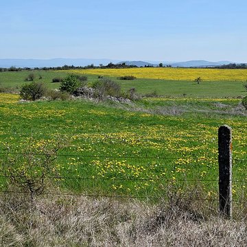 Dolmen de Saint-Antonin