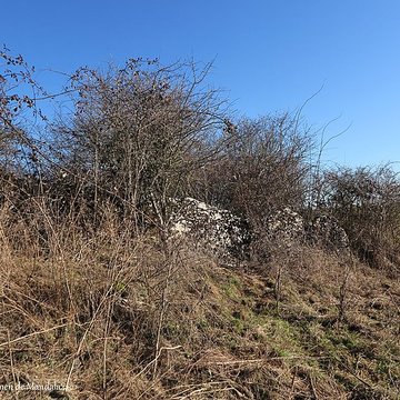 Dolmen de Saint-Antonin