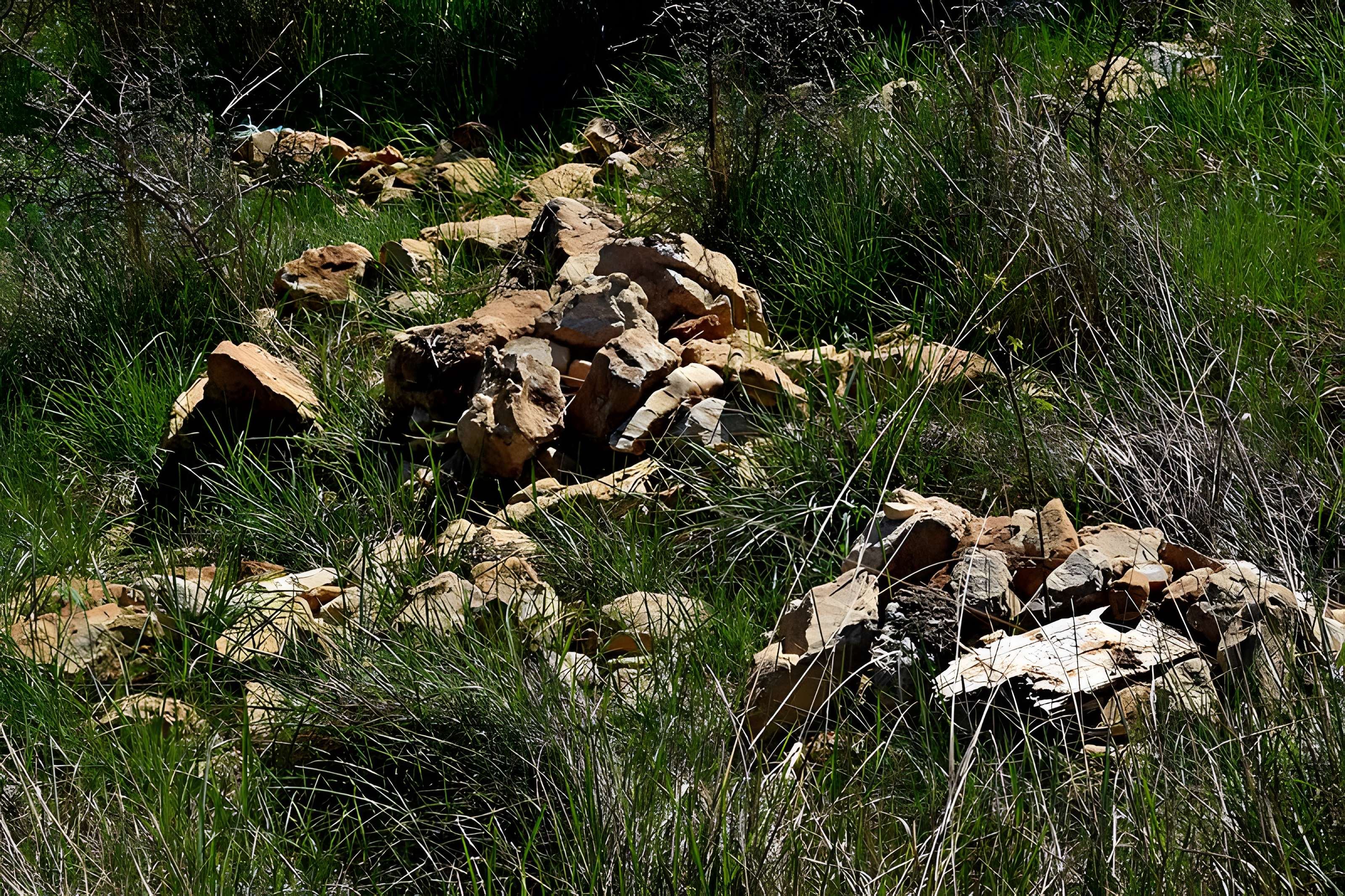 Dolmen de Saint-Antonin