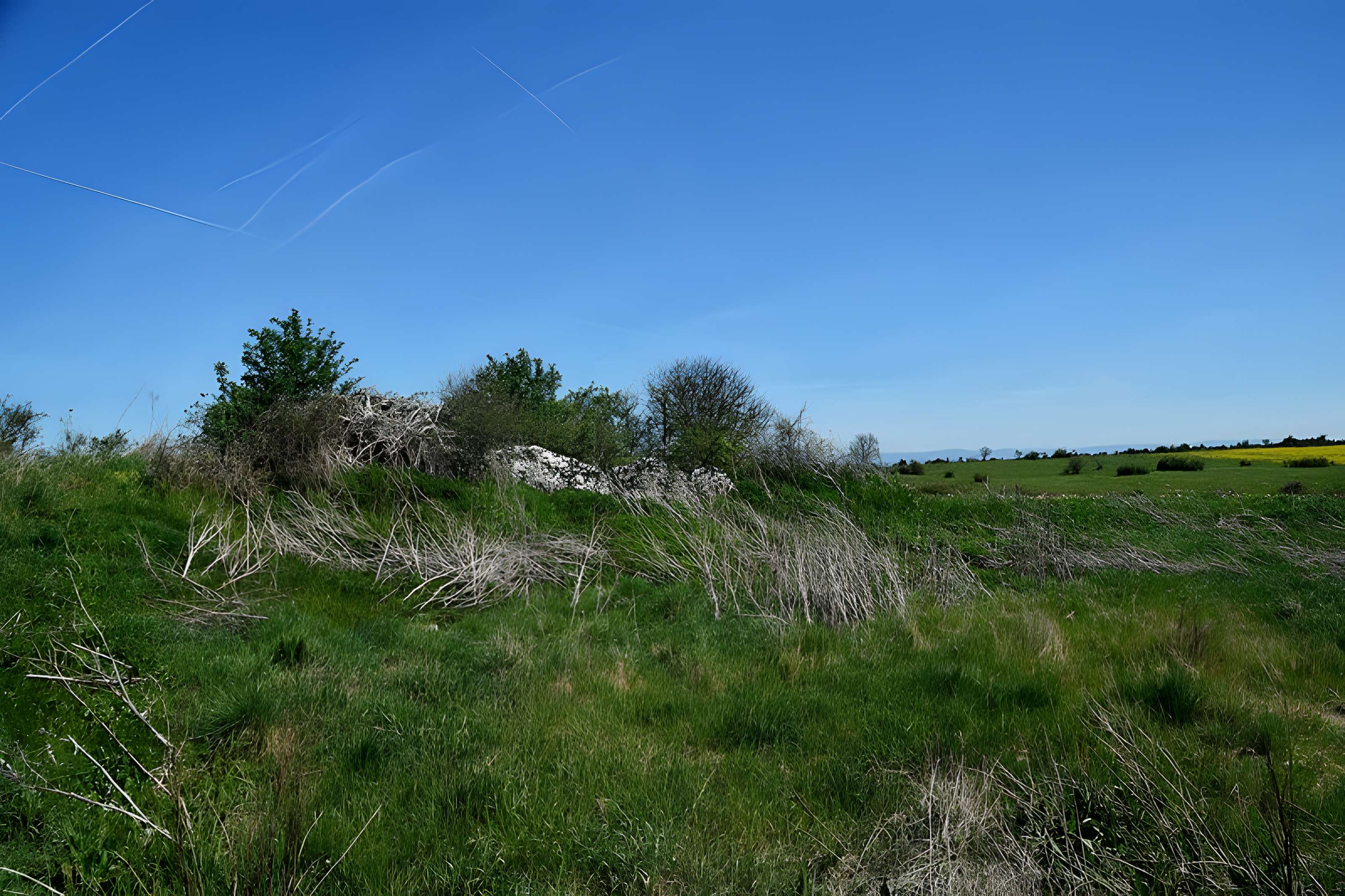 Dolmen de Saint-Antonin