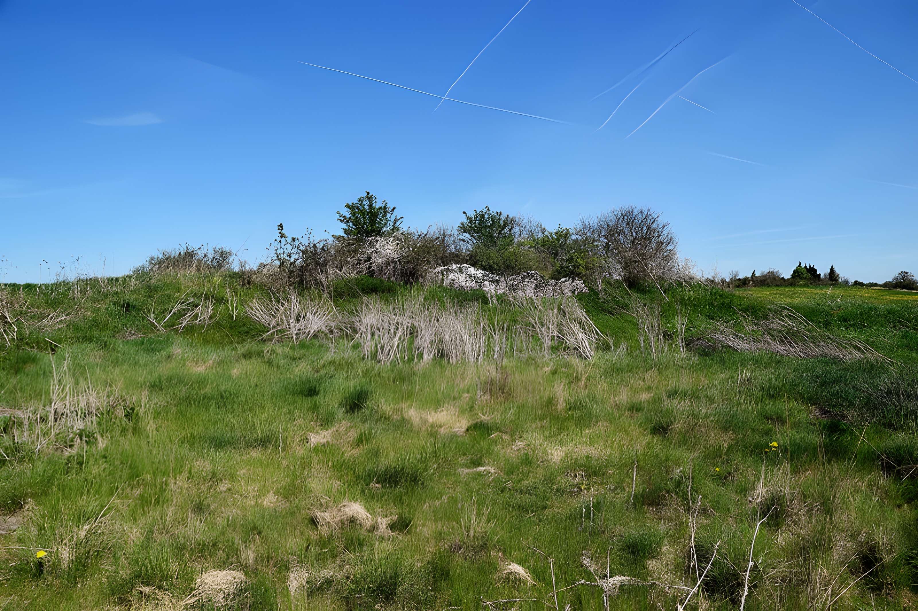 Dolmen de Saint-Antonin