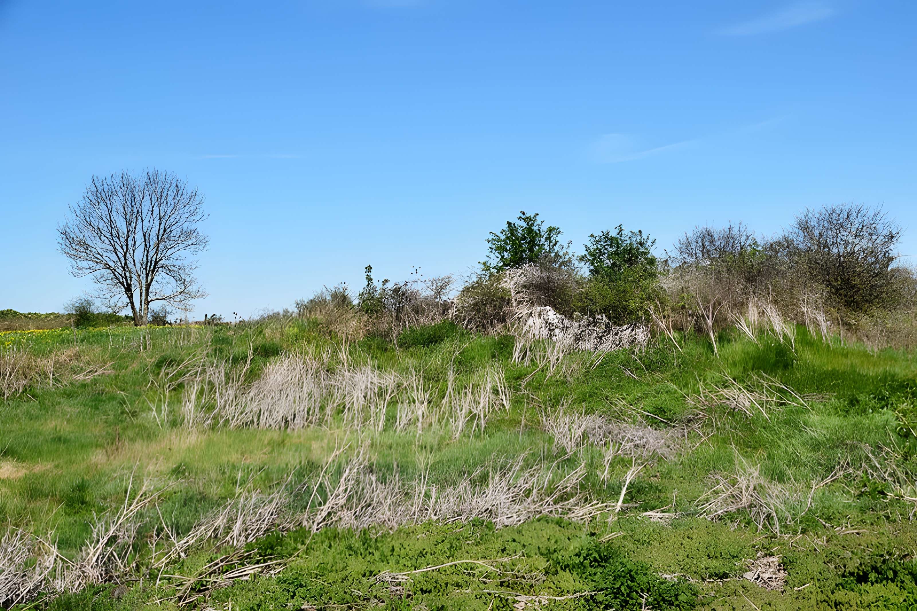Dolmen de Saint-Antonin