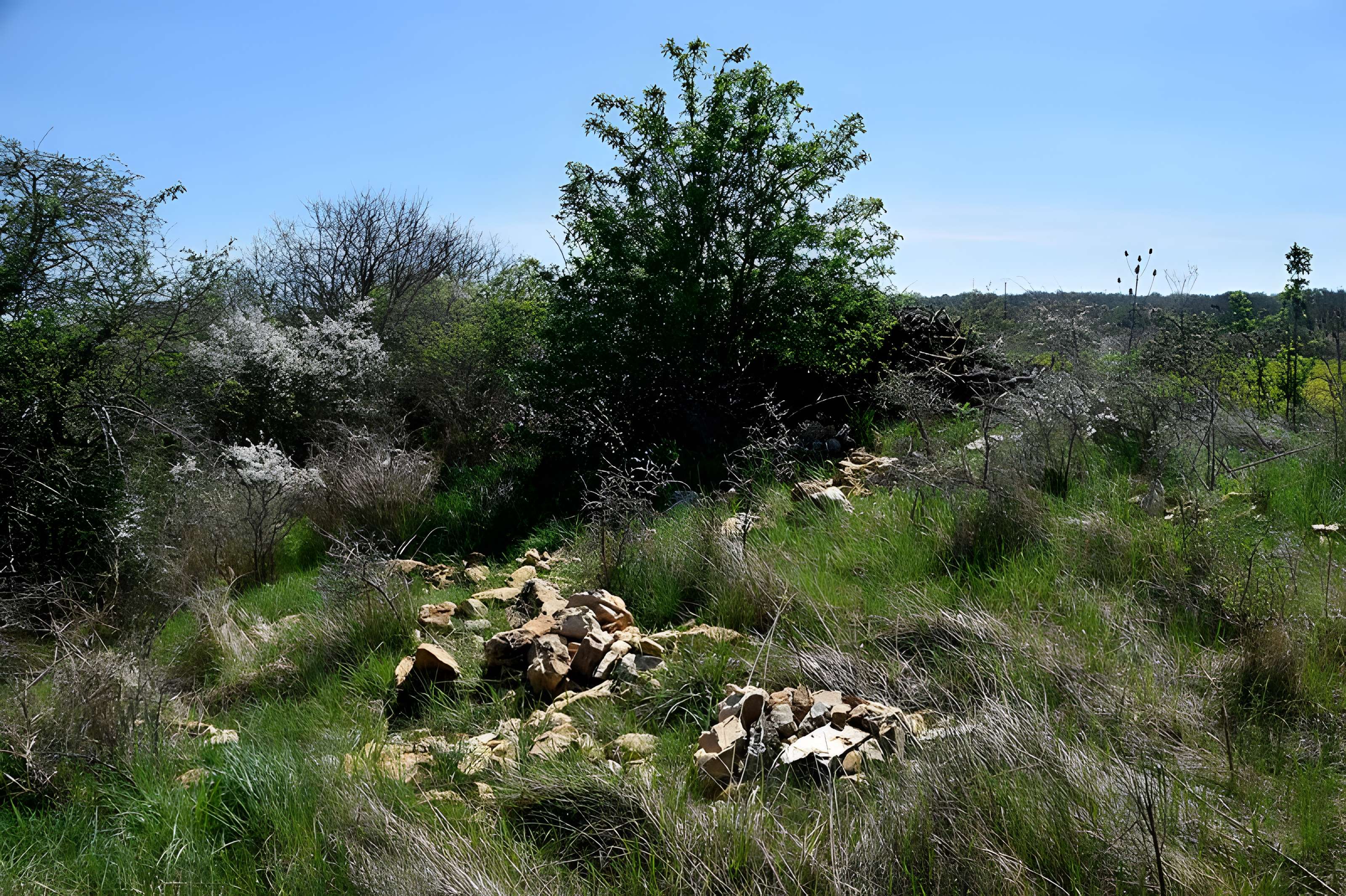 Dolmen de Saint-Antonin