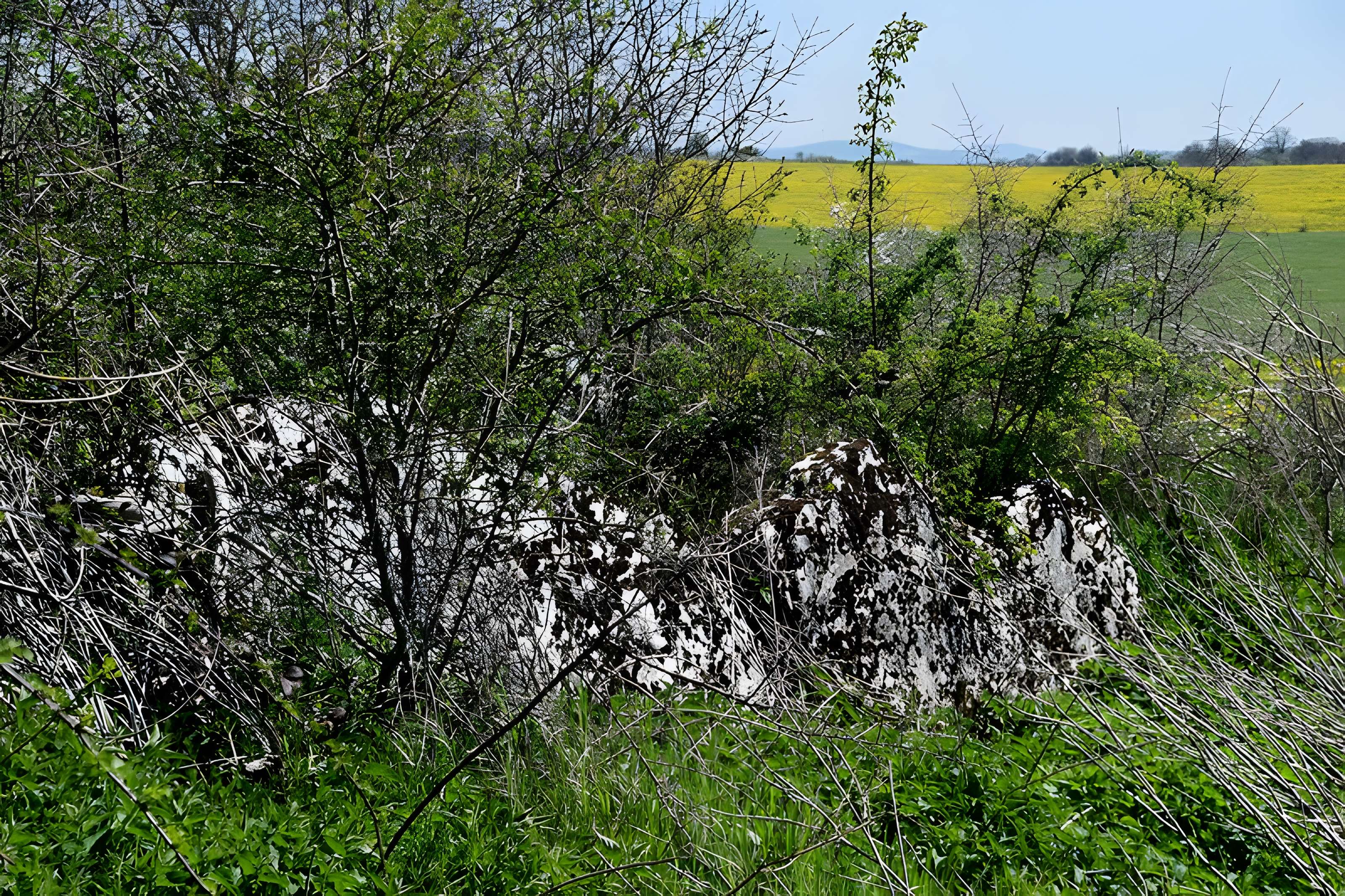 Dolmen de Saint-Antonin