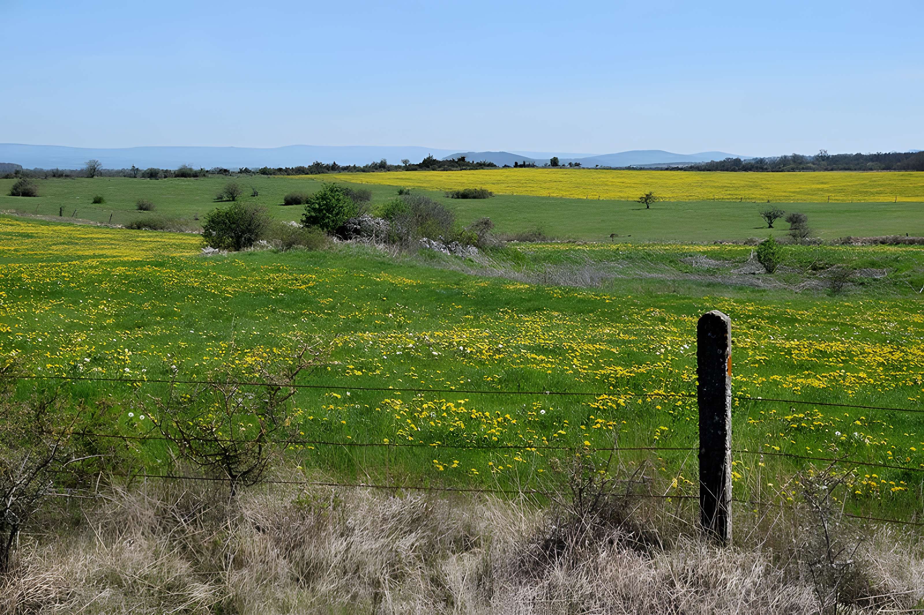 Dolmen de Saint-Antonin