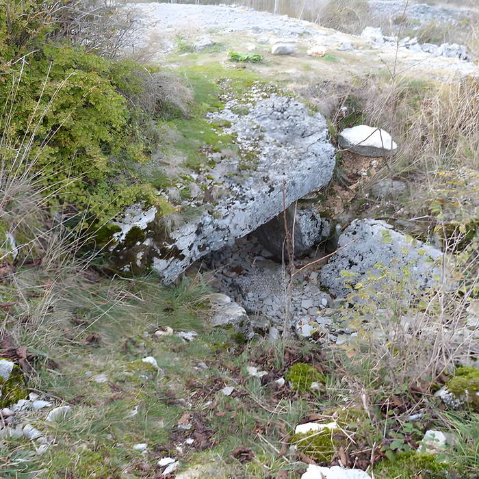 Photo de Dolmen et tumulus du Genevrier