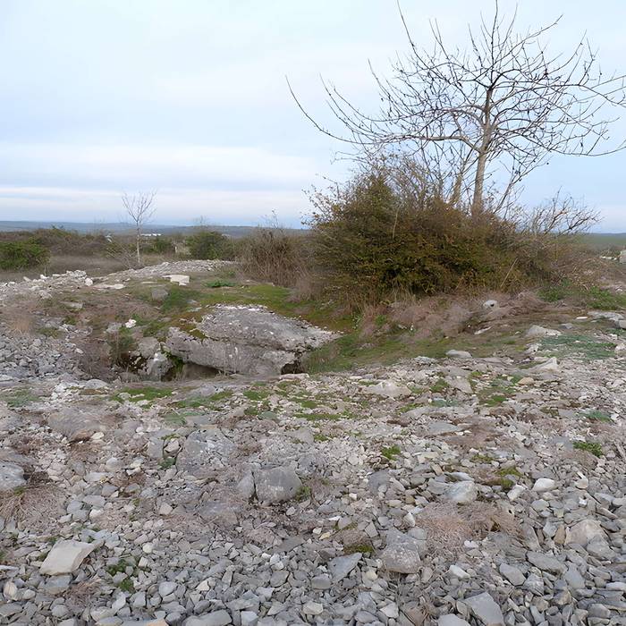 Photo de Dolmen et tumulus du Genevrier