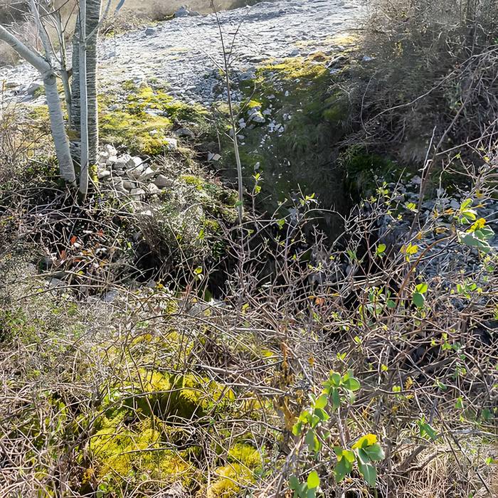 Photo de Dolmen et tumulus du Genevrier