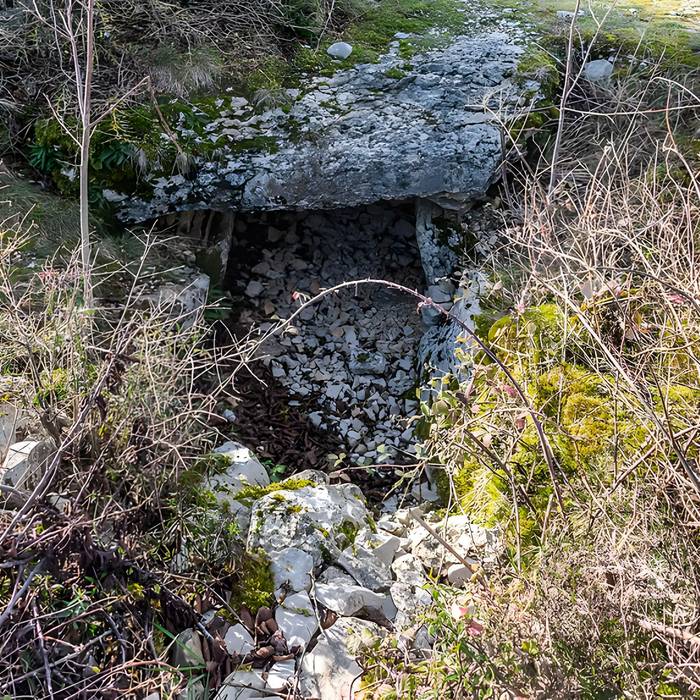 Photo de Dolmen et tumulus du Genevrier