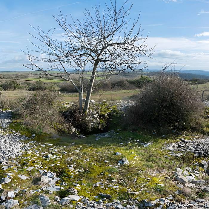 Photo de Dolmen et tumulus du Genevrier
