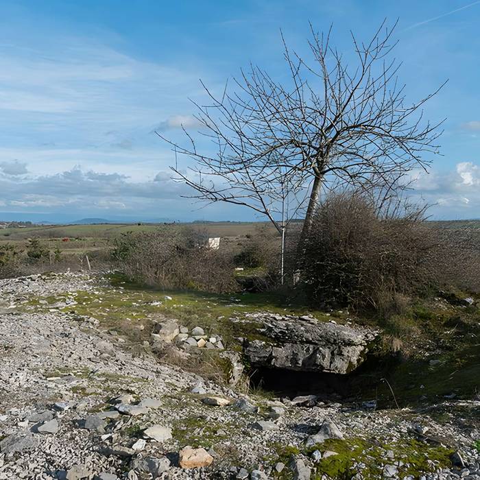 Photo de Dolmen et tumulus du Genevrier