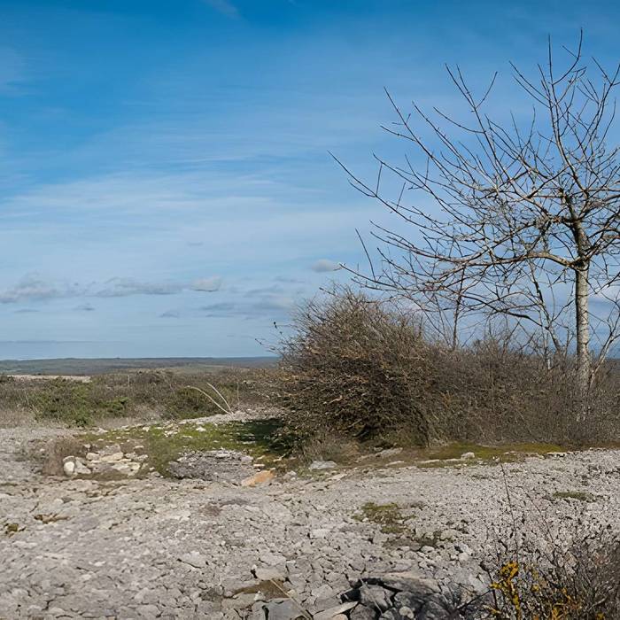Photo de Dolmen et tumulus du Genevrier