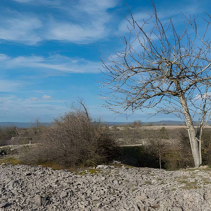 Photo de Dolmen et tumulus du Genevrier