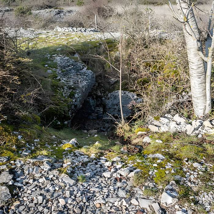 Photo de Dolmen et tumulus du Genevrier