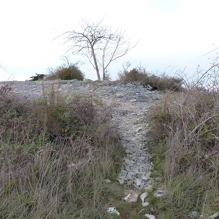 Photo de Dolmen et tumulus du Genevrier