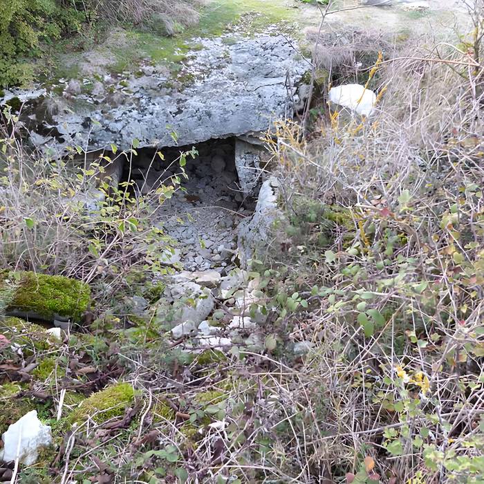 Photo de Dolmen et tumulus du Genevrier