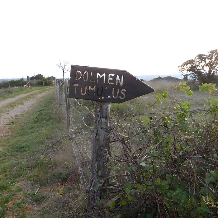 Photo de Dolmen et tumulus du Genevrier
